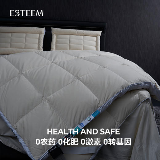 无染之境生态有机棉白鹅绒二合一子母床垫 商品图4