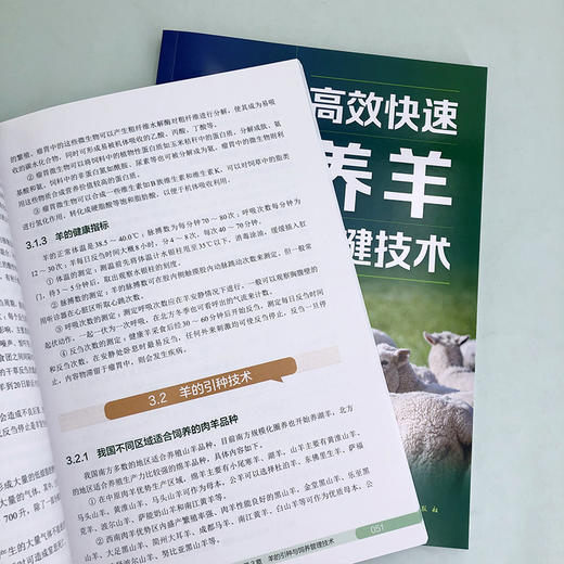 图说高效快速养羊关键技术 商品图5