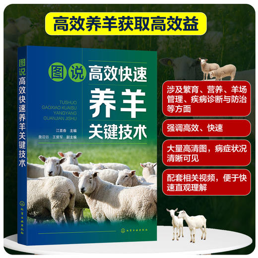 图说高效快速养羊关键技术 商品图0