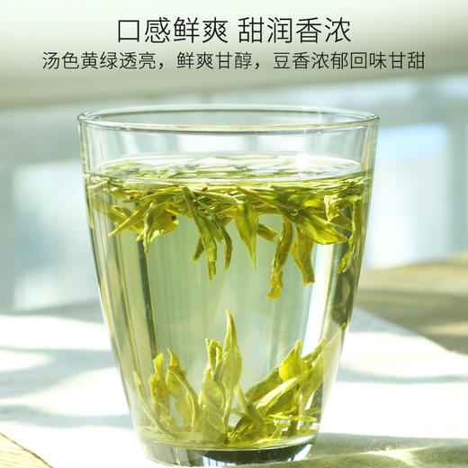 2024新茶上市 特尊茶7星龙井春茶非明前绿茶250克 商品图3