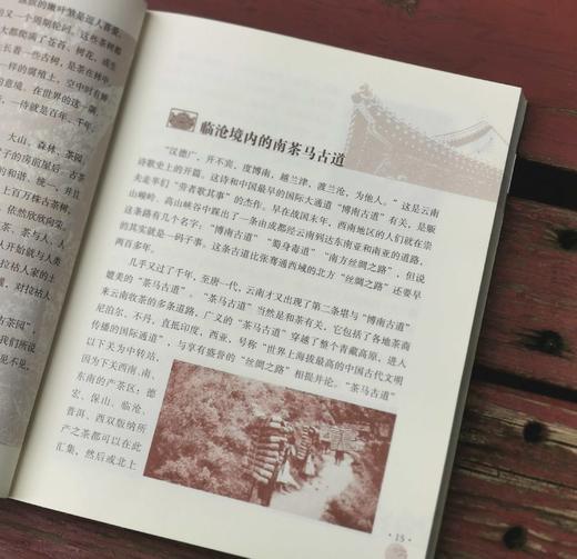 《人间茶话：中国茶文化随笔》，何松著，云南人民出版社2016年版，定价30，售价15元，非偏远地区包邮。 商品图4