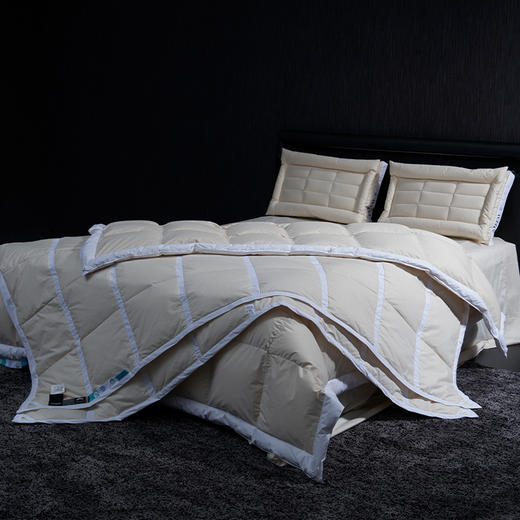 无染之境生态有机棉复合分层白鹅枕 商品图5