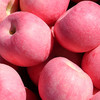 烟台红富士苹果（3500g / 5000g） 商品缩略图0