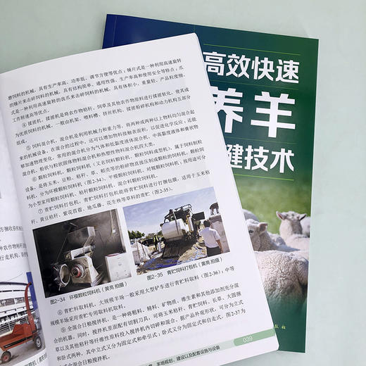 图说高效快速养羊关键技术 商品图6