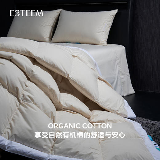 无染之境生态有机棉白鹅绒四季被 商品图2