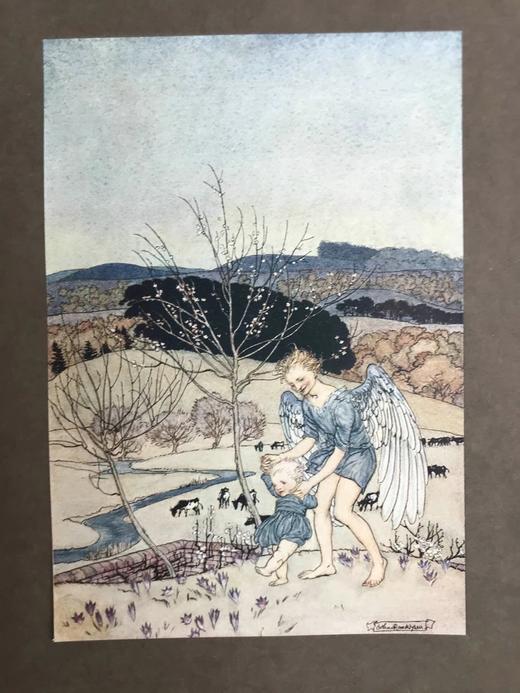 鬼才拉克姆限量签名本！1918年 斯温伯恩《生命之春：儿童诗集》 9幅彩色手工贴图与多幅黑白文间插图 犊皮（vellum）脊精装大16开 商品图9