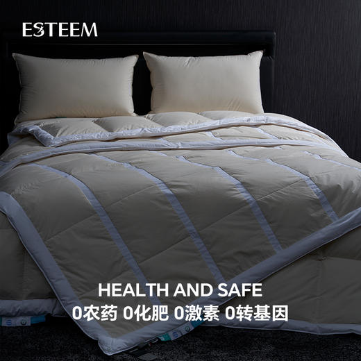 无染之境生态有机棉白鹅绒夏被 商品图4