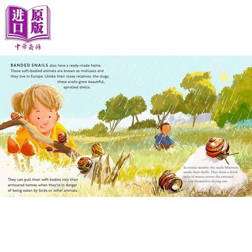 【中商原版】Amazing Animal Homes 动物之家 英文原版 进口图书 儿童绘本 动物图画书 少儿知识百科图书 精品绘本 亲子童书 商品图2