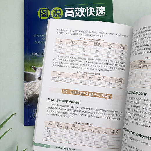 图说高效快速养羊关键技术 商品图9