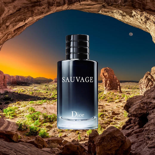 DIOR迪奥旷野之心男士香水60ml 商品图2