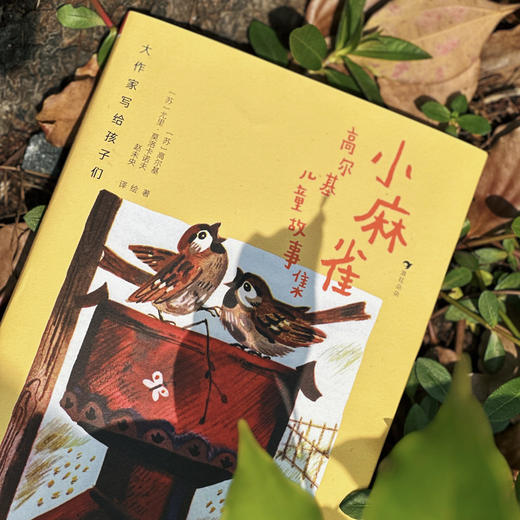 小麻雀:高尔基儿童故事集 商品图1