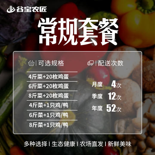 谷宝常规套餐蔬菜+鸡蛋+鸡/鸭 商品图1