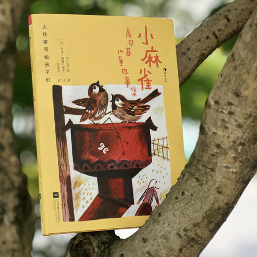 小麻雀:高尔基儿童故事集 商品图2