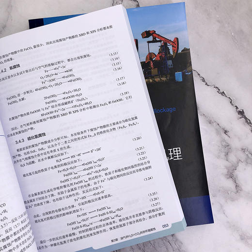 油气开采井筒腐蚀结垢与堵塞机理 商品图4