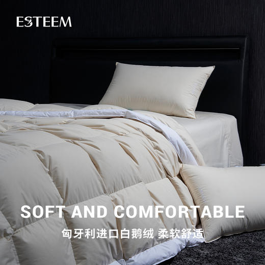 无染之境生态有机棉白鹅绒枕 商品图3