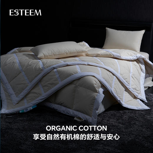 无染之境生态有机棉白鹅绒夏被 商品图2