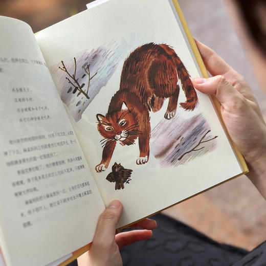 小麻雀:高尔基儿童故事集 商品图4