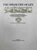 鬼才拉克姆限量签名本！1918年 斯温伯恩《生命之春：儿童诗集》 9幅彩色手工贴图与多幅黑白文间插图 犊皮（vellum）脊精装大16开 商品缩略图4