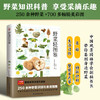 野菜轻图鉴 250余种野菜识别与食用指南 分类 名称  特征识别 生活习性 繁殖方式 科普常见野菜识别知识 享受采摘野菜的乐趣(付彦荣  主编 含章新实用编辑部  编著  凤凰含章出品) 商品缩略图0