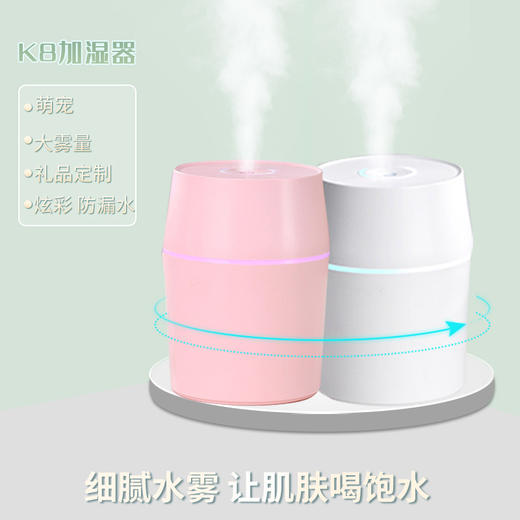 【细腻水雾让肌肤喝饱水】萌宠大雾量炫彩防漏水，新款家用迷你加湿器，USB消毒车载雾化器创意香薰萌宠桌面加湿器 商品图1