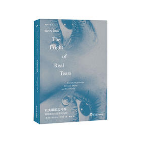 真实眼泪之可怖 : 基耶斯洛夫斯基的电影