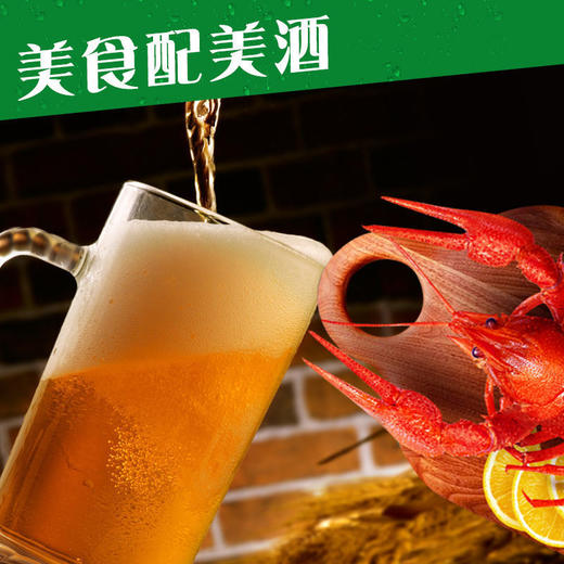 【食品酒水】-青岛纯生啤酒330ml罐装 商品图3