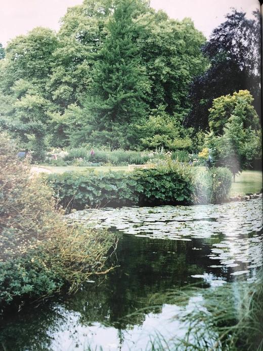 剑桥：梦想之城 约百幅插图 精装大16开 商品图11