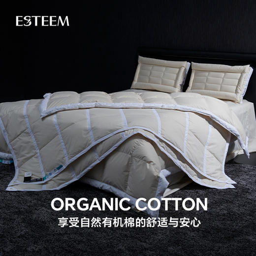 无染之境生态有机棉复合分层白鹅枕 商品图2