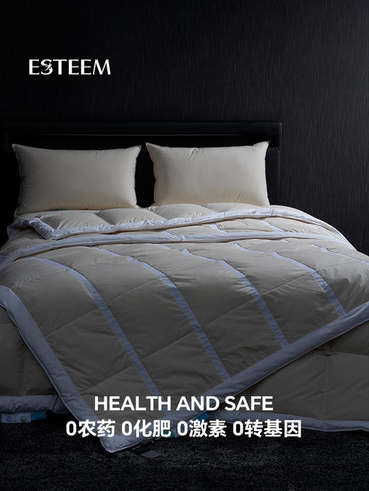 无染之境生态有机棉白鹅绒夏被 商品图9