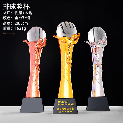 体育运动金属水晶奖杯定制员工团队学校学生友谊比赛篮球足球荣誉 商品图10