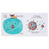 【中商原版】Quantum Physics for Smart Kids 聪明孩子的量子物理学 英文原版 进口原版 4岁到8岁 儿童纸板书 Carlos Pazos 商品缩略图7