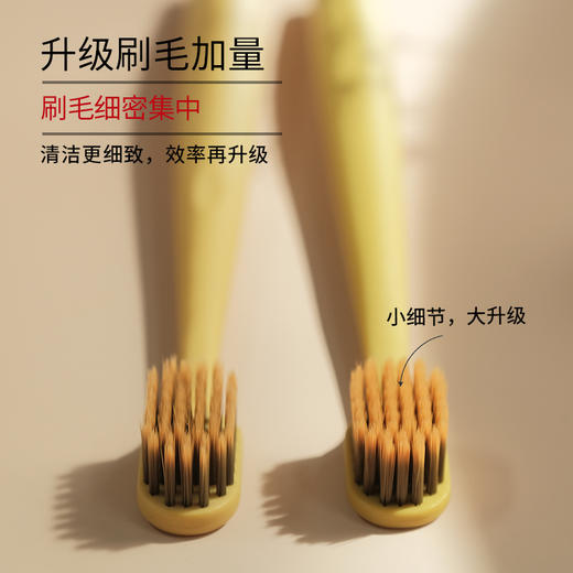 【陈修园·百年古方】皓齿安植物洁牙粉【套组牙刷颜色随机赠送】【活动时间：5.8-5.23】 商品图7