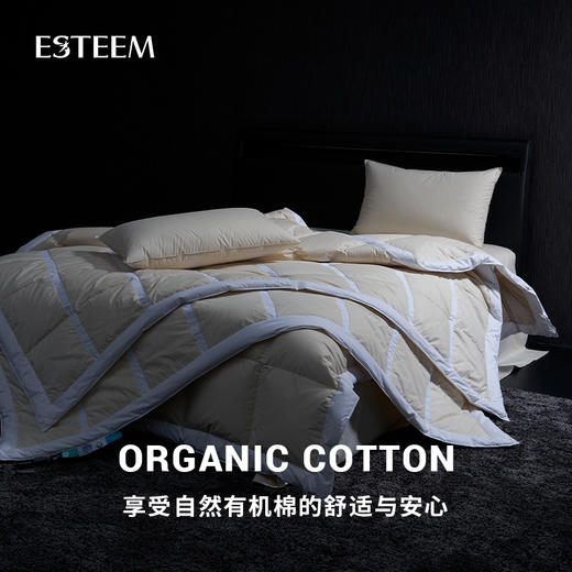 无染之境生态有机棉白鹅绒枕 商品图2