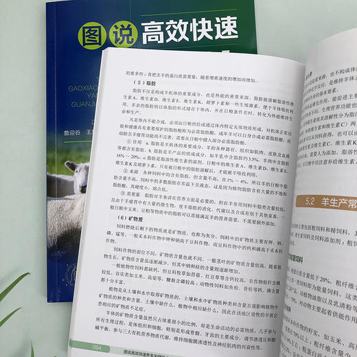 图说高效快速养羊关键技术 商品图8