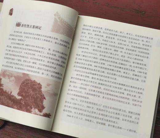 《人间茶话：中国茶文化随笔》，何松著，云南人民出版社2016年版，定价30，售价15元，非偏远地区包邮。 商品图8