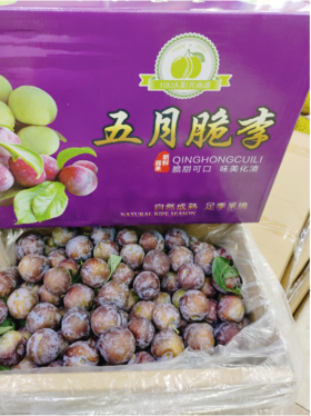 青红脆李一箱（拼团）