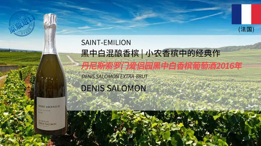法国-丹尼斯索罗门爱侣园黑中白香槟葡萄酒2016年 商品图0