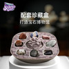 科学罐头160026美国石头浪宝石挖掘 商品缩略图3