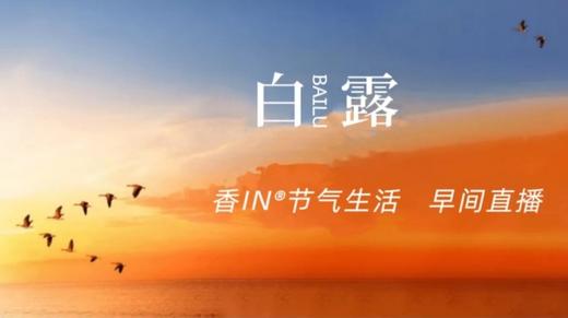 节气生活 白露早直播 商品图0