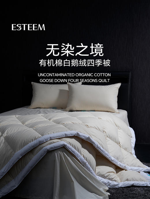 无染之境生态有机棉白鹅绒四季被 商品图5