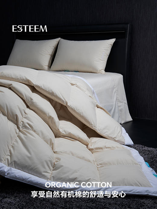 无染之境生态有机棉白鹅绒四季被 商品图7