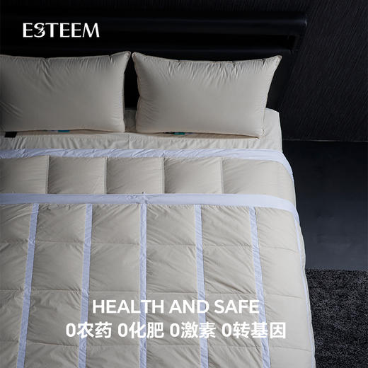无染之境生态有机棉白鹅绒四季被 商品图4