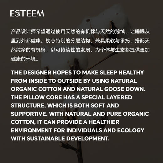无染之境生态有机棉复合分层白鹅枕 商品图1