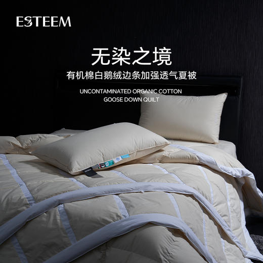 无染之境生态有机棉白鹅绒夏被 商品图0