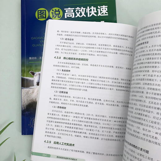 图说高效快速养羊关键技术 商品图7