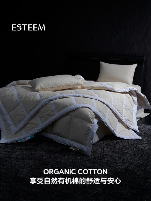 无染之境生态有机棉白鹅绒夏被 商品图7