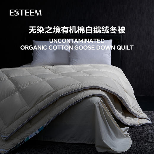 无染之境生态有机棉白鹅绒冬被 商品图0