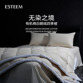 无染之境生态有机棉白鹅绒四季被