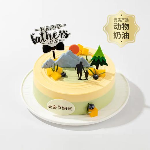 【父爱如山】甜蜜致敬父亲稳重如山的爱，感谢您为我遮风挡雨（中山） 商品图0