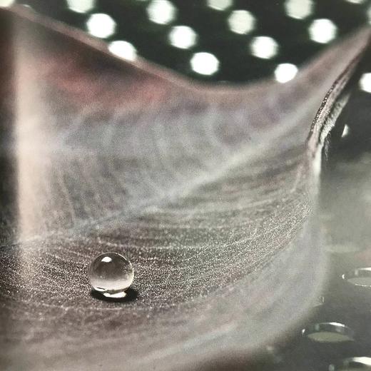 万物表象：令人惊奇的科学影像 数十幅彩色插图 平装16开 商品图14